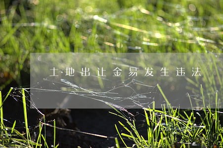 土地出让金易发生违法 土地出让金易发生违法