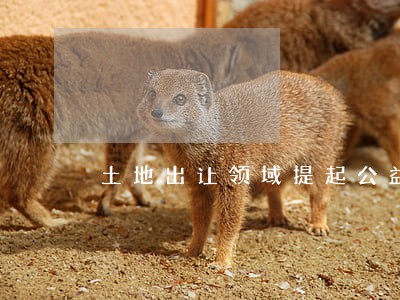 土地出让领域提起公益诉讼 土地出让领域提起公益诉讼