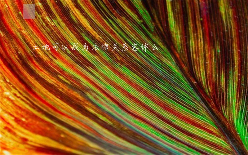 土地可以成为法律关系客体么