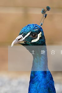 土地合同诉讼时效多长时间 土地合同诉讼时效多长时间