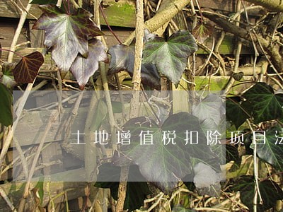 土地增值税扣除项目法院判决