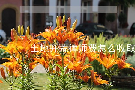 土地开荒律师费怎么收取 土地开荒律师费怎么收取