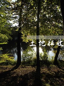 土地征收山阳律师