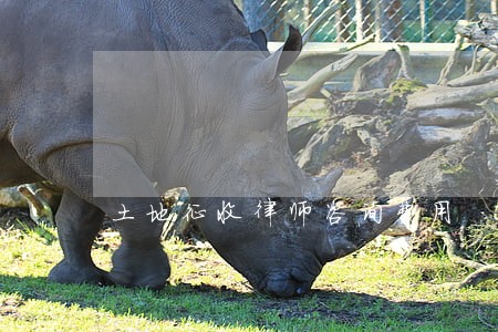 土地征收律师咨询费用 土地征收律师咨询费用