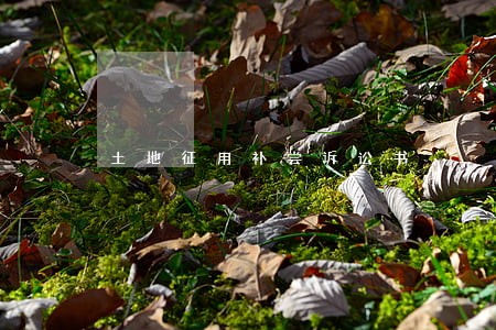 土地征用补尝诉讼书 土地征用补尝诉讼书