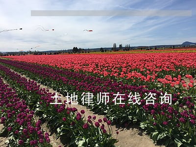 土地律师在线咨询 土地律师在线咨询