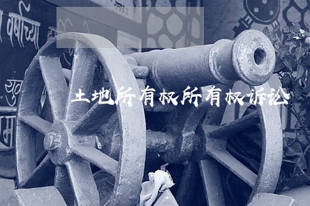 土地所有权所有权诉讼