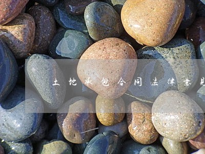 土地承包合同法律意见书