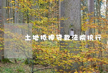 土地抵押贷款法院执行