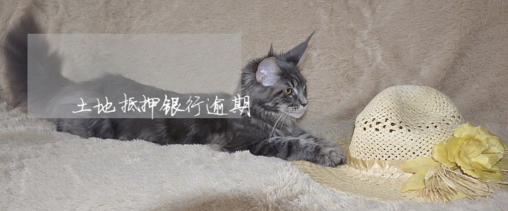 土地抵押银行逾期 土地抵押银行逾期