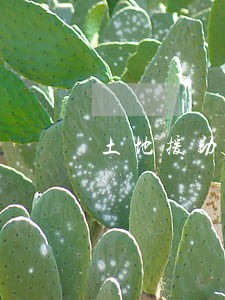 土地援助申请书