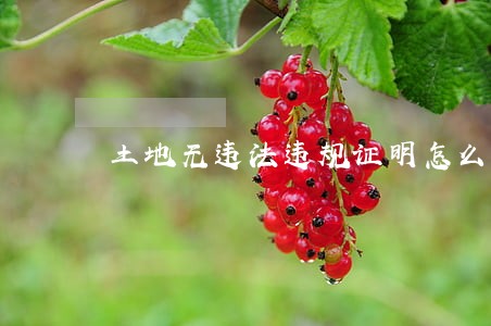 土地无违法违规证明怎么开 土地无违法违规证明怎么开