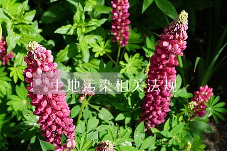 土地污染相关法规 土地污染相关法规