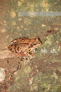 土地法律咨询服务平台