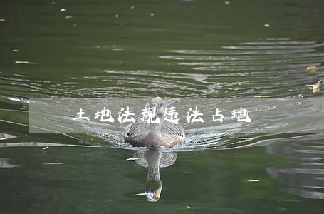 土地法规违法占地 土地法规违法占地