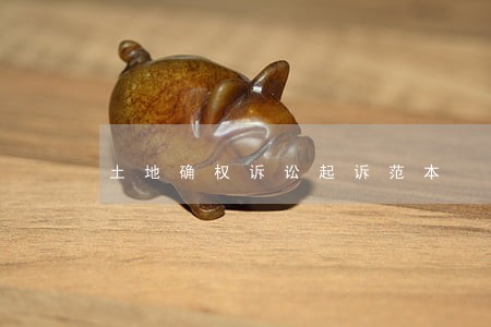 土地确权诉讼起诉范本 土地确权诉讼起诉范本