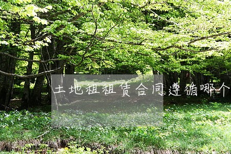 土地租租赁合同遵循哪个法规