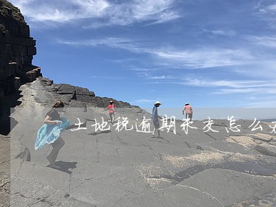 土地税逾期未交怎么办200罚款 土地税逾期未交怎么办200罚款