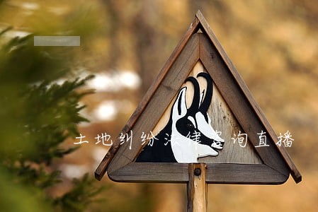 土地纠纷法律咨询直播 土地纠纷法律咨询直播
