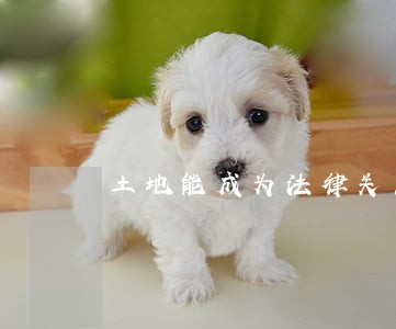 土地能成为法律关系的客体吗 土地能成为法律关系的客体吗
