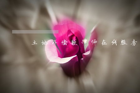 土地补偿款律师在线服务 土地补偿款律师在线服务