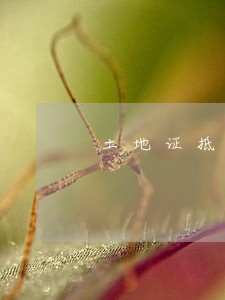 土地证抵押贷款逾期