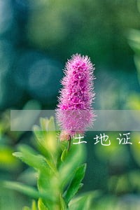 土地证抵押贷款逾期了怎么办 土地证抵押贷款逾期了怎么办