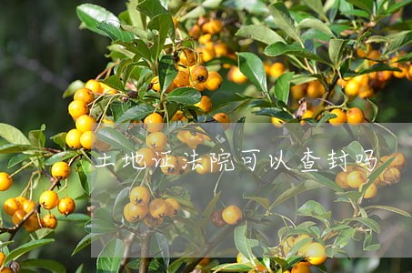 土地证法院可以查封吗 土地证法院可以查封吗