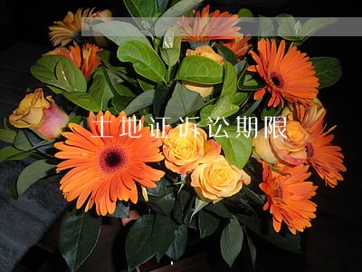 土地证诉讼期限 土地证诉讼期限