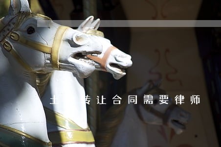 土地转让合同需要律师 土地转让合同需要律师