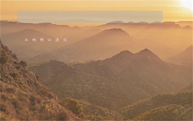 土地转让违法