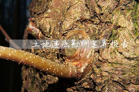土地违法勘测定界报告 土地违法勘测定界报告