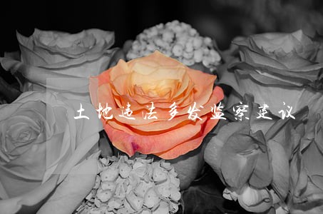 土地违法多发监察建议 土地违法多发监察建议