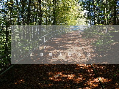 土地违法座谈会 土地违法座谈会