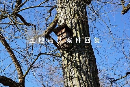 土地违法案件回复 土地违法案件回复