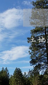 土地违法案件处罚滞纳金 土地违法案件处罚滞纳金