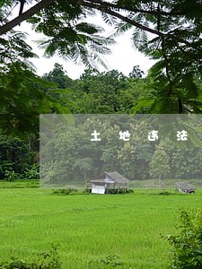 土地违法案件查处中存在的问题 土地违法案件查处中存在的问题