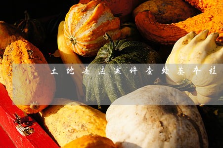 土地违法案件查处基本程序下载 土地违法案件查处基本程序下载
