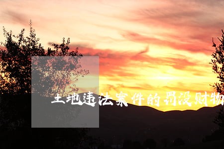 土地违法案件的罚没财物 土地违法案件的罚没财物