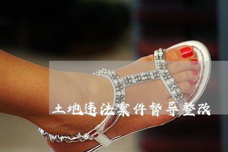 土地违法案件督导整改 土地违法案件督导整改