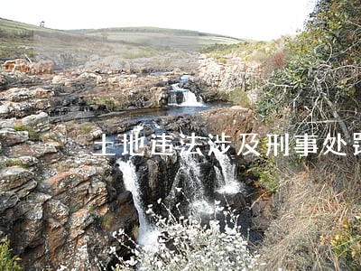 土地违法涉及刑事处罚 土地违法涉及刑事处罚