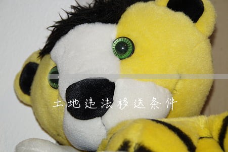 土地违法移送条件