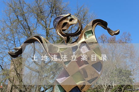 土地违法立案目录 土地违法立案目录