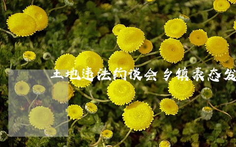 土地违法约谈会乡镇表态发言 土地违法约谈会乡镇表态发言