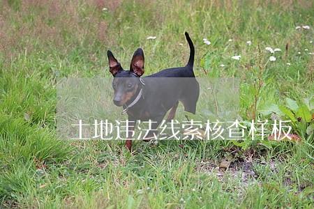 土地违法线索核查样板 土地违法线索核查样板