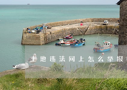 土地违法网上怎么举报电话 土地违法网上怎么举报电话