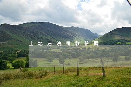 土地违法罚款依据