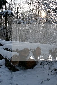 土地违法罚款单姓名能变更吗 土地违法罚款单姓名能变更吗