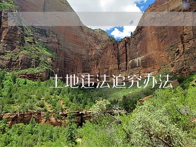 土地违法追究办法 土地违法追究办法