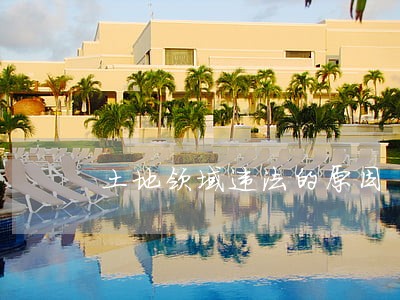 土地领域违法的原因 土地领域违法的原因